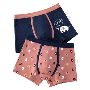 Boys Printed 2Pcs Boxer Set