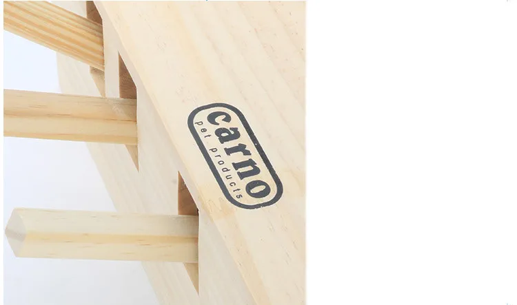 10826579265_609758398