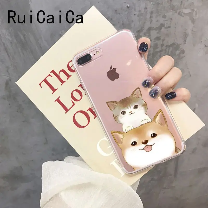 Shiba Inu Dog