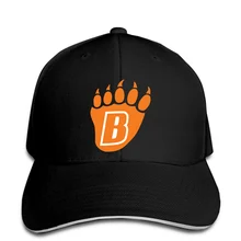 Мужская бейсбольная кепка с клипсой, связанная с белым медведем озером, логотип для школы, скачать Снэпбэк Кепка, женская кепка, остроконечная