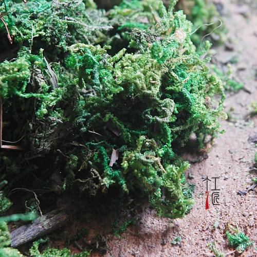 sale~ dried moss/dyed green/fantasy miniatures/lovely cute/fairy garden  gnome/moss terrarium decor/crafts/bonsai/SD004 DIY - AliExpress