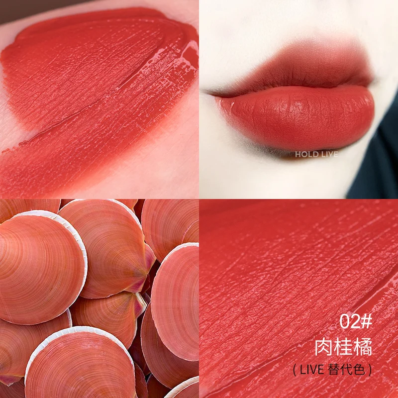 Hold live velvet matte lip gloss long lasting waterproof air cushion pigment sexy red tomato orange peach liquid lipstick BN201
