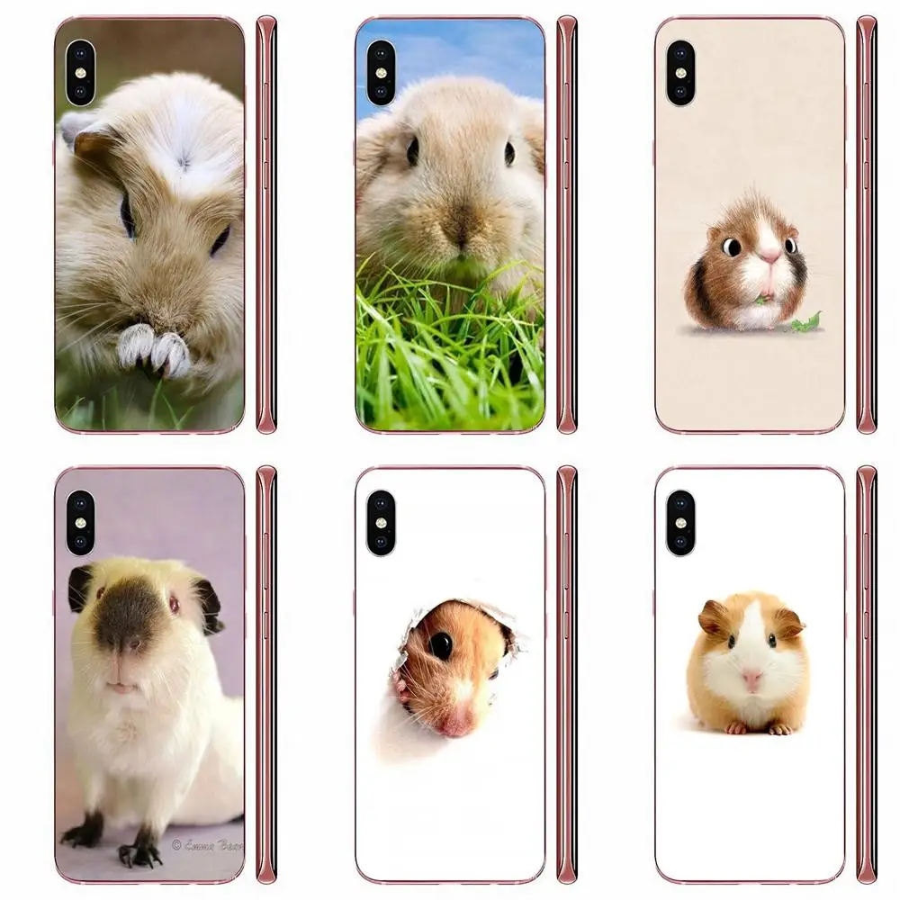 Ультратонкий чехол для Apple iPhone 4 5 5C 6 6S 7 8 11 Plus Pro X XS Max XR симпатичная белка морская