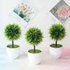 1 Pcs Artificial Green Plants Phoenix Potted  Simulation Grass Ball Home Living Room Decoration Festival Party Office Ornaments ► Photo 2/3