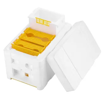 

Bee Mating Box Beekeeping Tools Foam Beehive Bee Mating Box Bee Queen Reserve Box Pollination Case Set Breeding Equipment