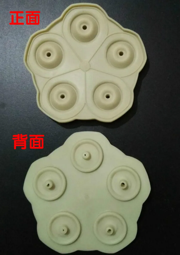 5G-310 Agricultural pump 24V high pressure five chamber diaphragm pump with fan electric sprayer pump 260psi 18bar 18L/min