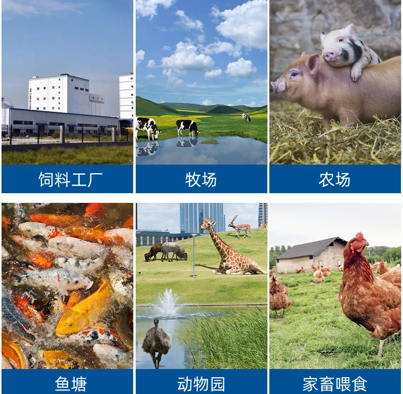 O1CN01CU8fDT2J0vkEW0zZx_!!3031249360