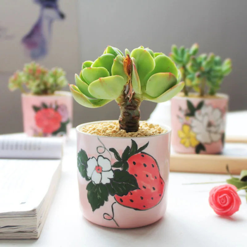 Set of 4 Hand-painting Flower Pots Floral Design Ceramic Planter Succulent Plant Mini Bonsai Home Garden Desktop Decoration | Дом и сад