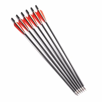 

Crossbow Carbon Arrow 20inch Length with Replaceable Arrowhead Tips and Adjustable Nocks for Compound/Recurve Bow Archery