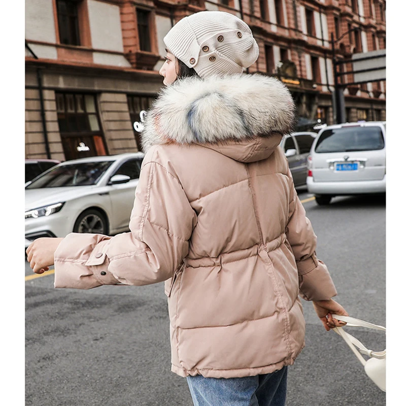 NU1123P(1)