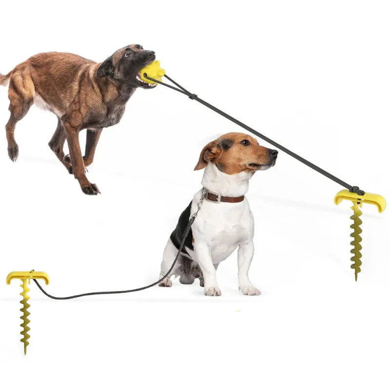funny dog leash
