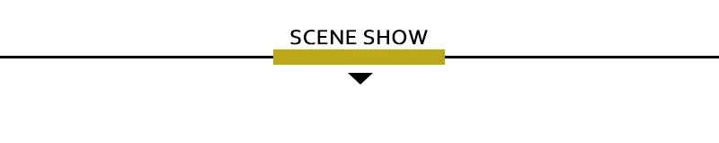 Model (2)