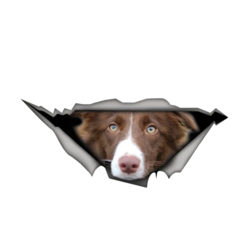 

Cute Border Collie Dog Self-adhesive Vinyl Decal Car Sticker Waterproof Auto Decors on Bumper Rear Window Motorcycle Laptop