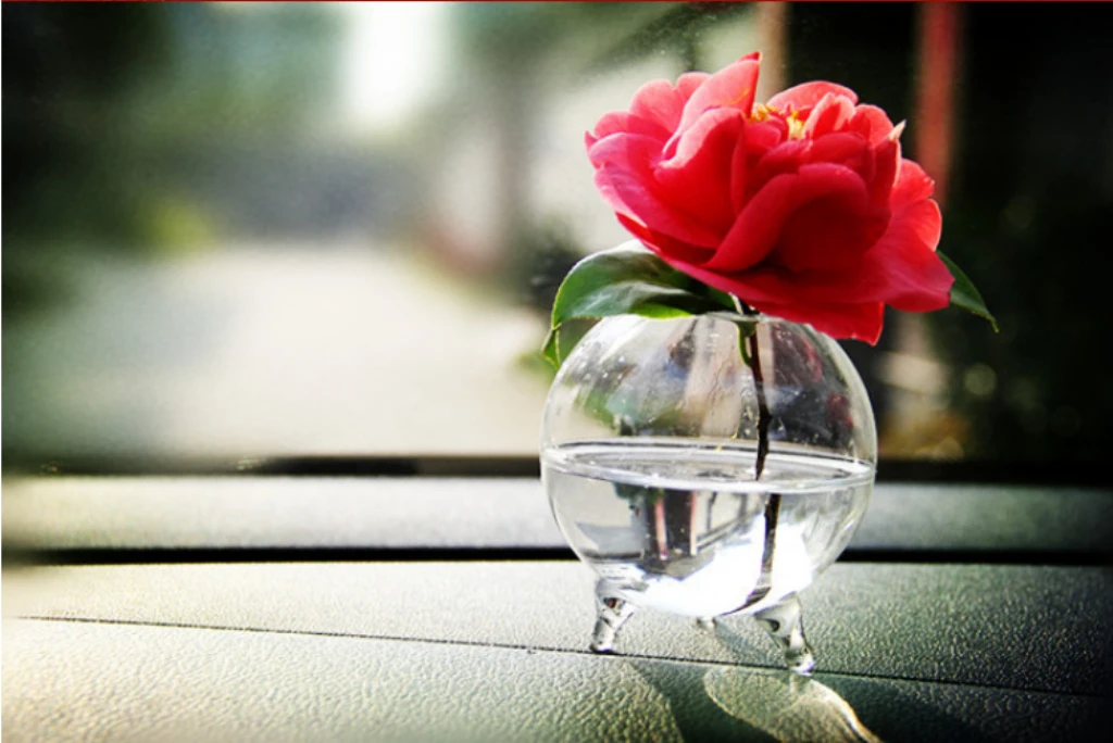 6pcs Home Decorative Ball Shaped Clear Glass Display Vases Fish Bowl Candleholders Air Plants Hydroponic Pot Terrarium