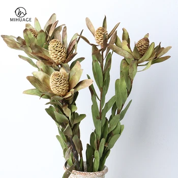 

MiHuaGe Artificial Everlasting Flowers Leucadendron Party Festival Decorative Supplies Dried Flowers Home Bedroom Decor Flower