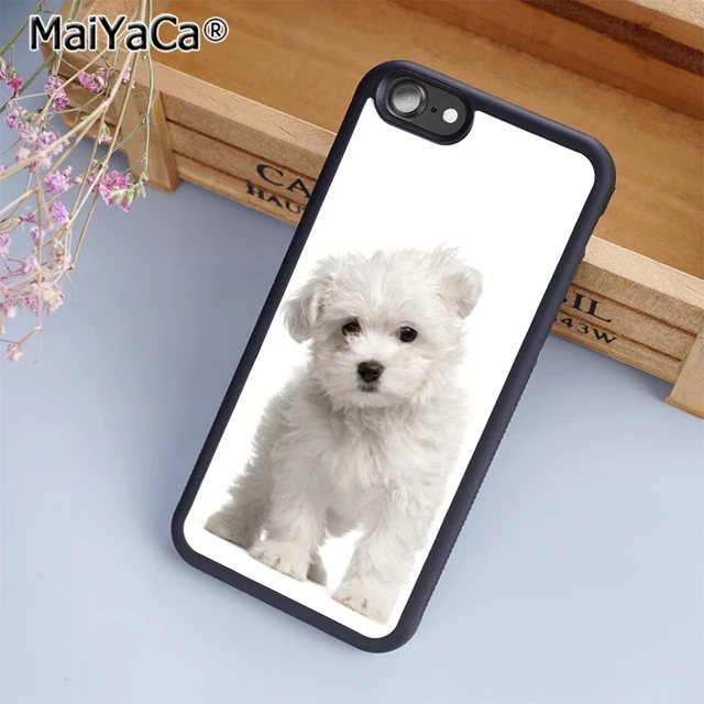 MaiYaCa Мальтийский щенок чехол для телефона iPhone 5 6 7 8 plus 11 pro X XR XS max samsung S6 S7 edge S8 S9 S10 |