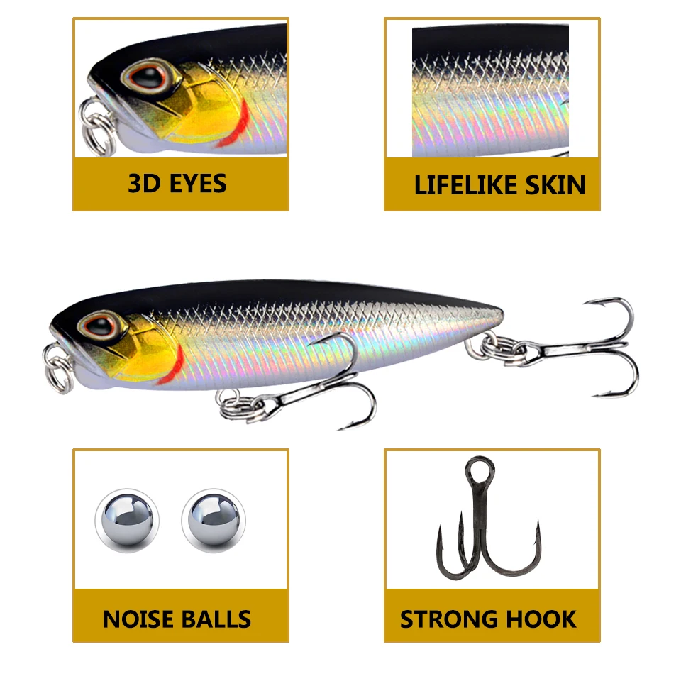 dsc-products