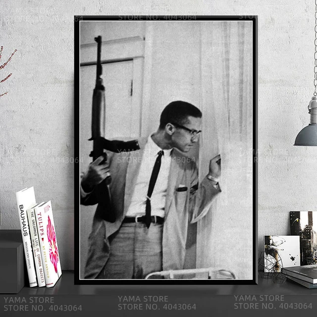 Malcolm X Gun Poster