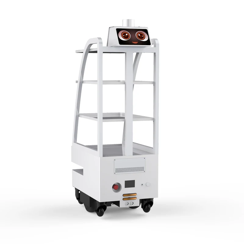 Рисунок 4 - Интеллектуальная машина для доставки