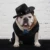 Лето Pet Dog Hat Открытый Собаки Шапки Для Маленьких Средних Собак Кошек Регулируемый Щенок Котенок Шляпы Аксессуары Для Домашних Животных Чихуахуа
