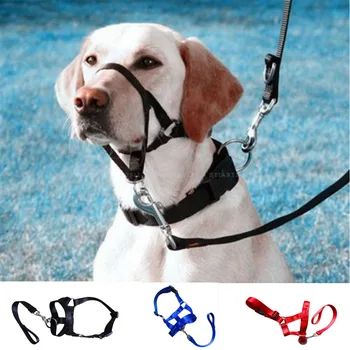 

Creative Dog Halter Halti Training Head Collar Gentle Leader Harness Nylon Breakaway All Seasons Usefull Harnesses Lead hot