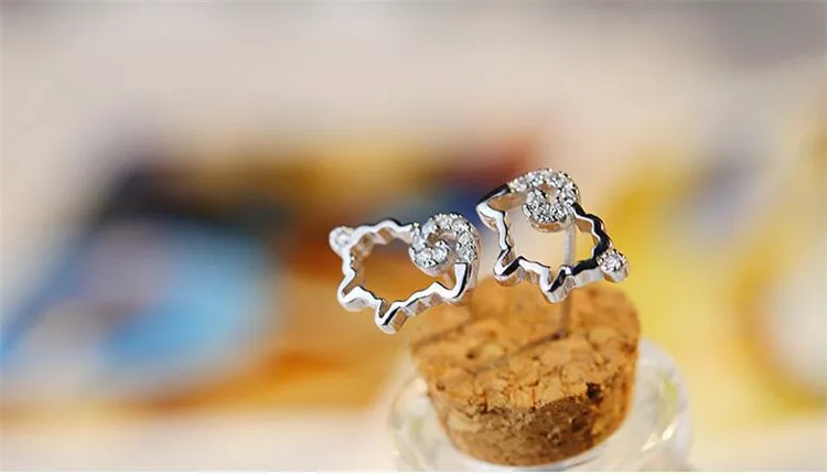 9589081302_1966409281