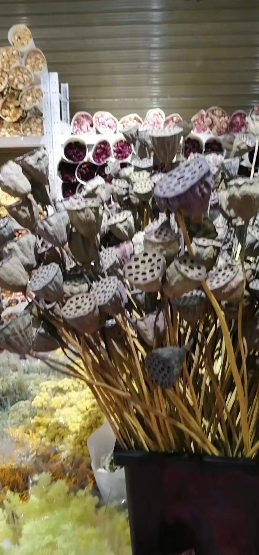 微信图片_20200730172246