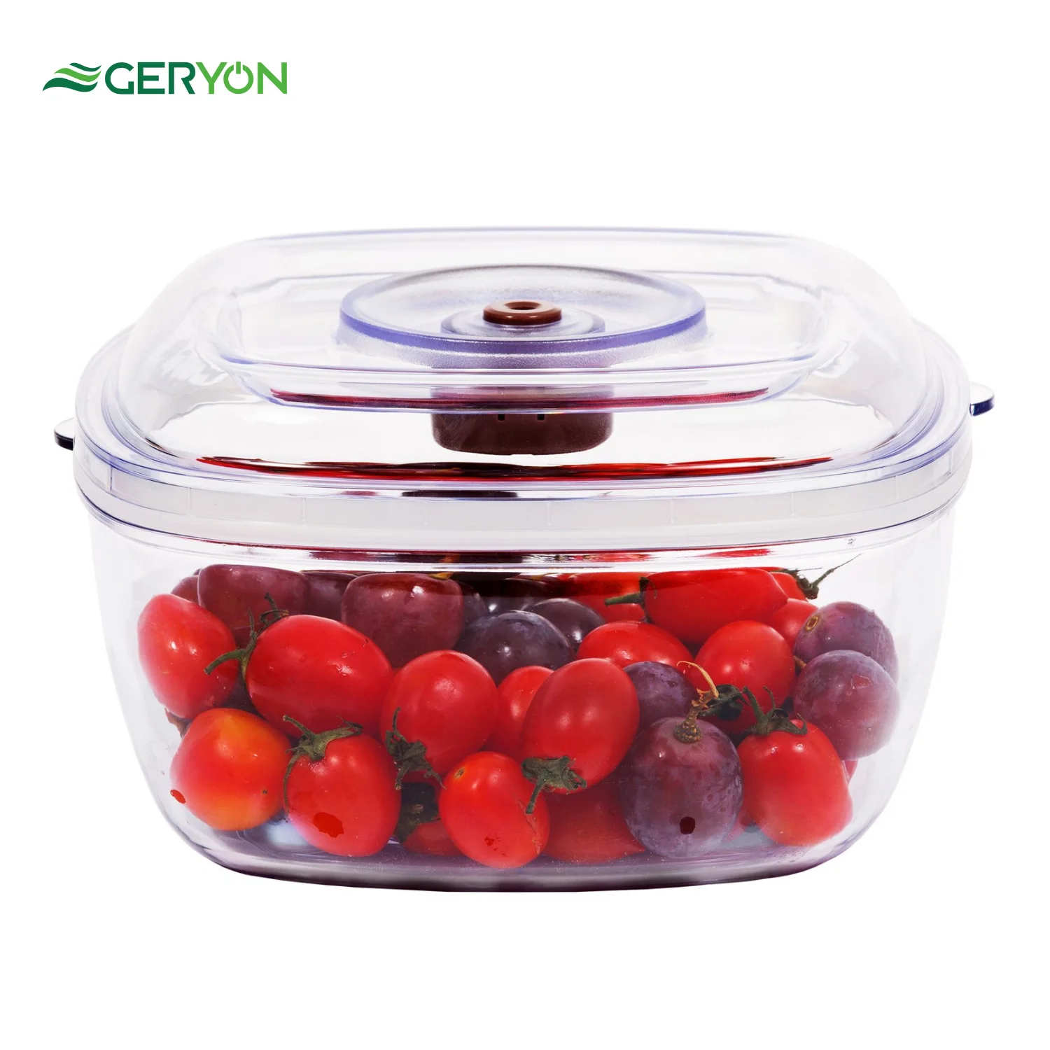 

GERYON Square Vacuum Seal Container for Food Storage Vacuum Sealer Machine with Vacuum Hose for Food Saver Large (2 LITER)