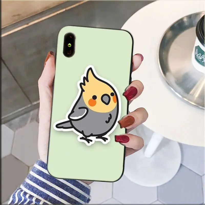 Chubby Cockatiel