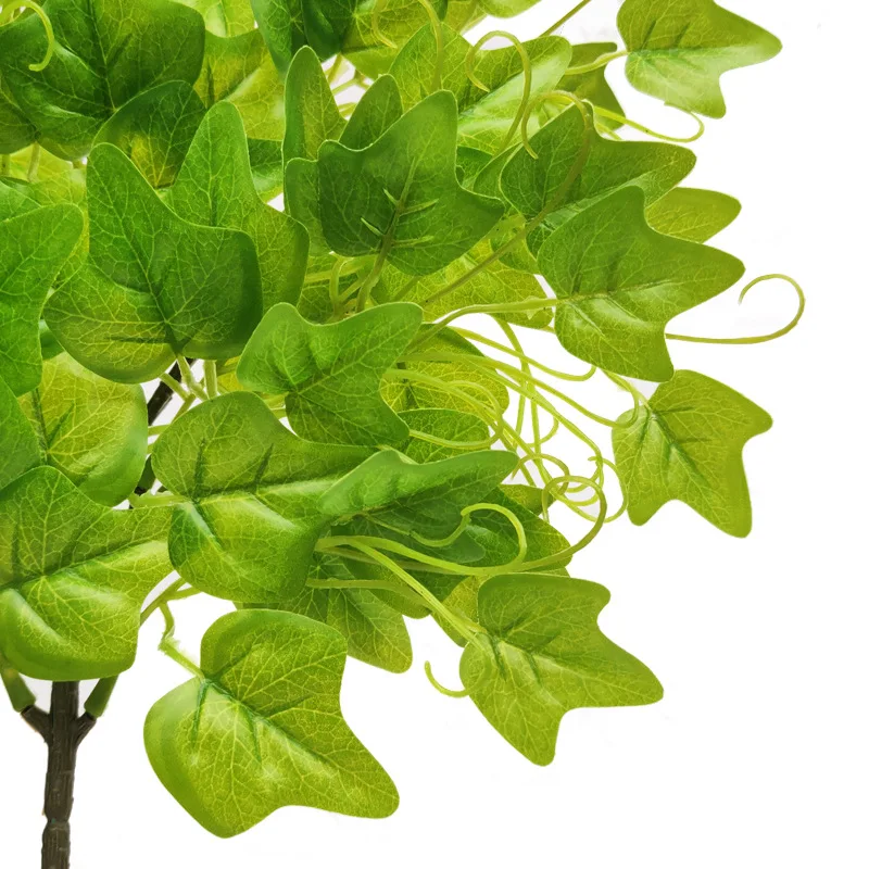 12034958635_1493019570