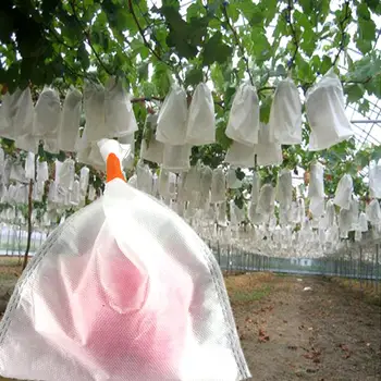 

100Pc/Lot Grape Protection Bags for Fruit Vegetable Grapes Mesh bag Against Insect Pouch Waterproof Pest Control Anti-Bird Garde