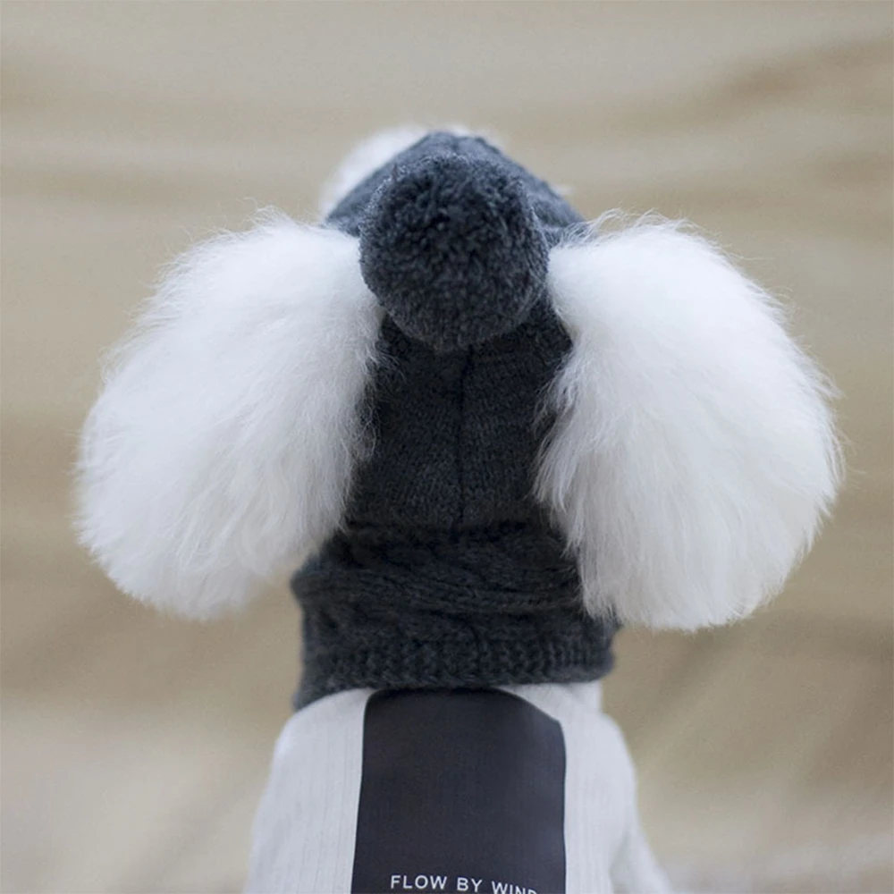 Модная Повседневная однотонная зимняя теплая вязаная шляпа для животных, набор шарфов, шапки для собак,, забавные товары для домашних животных