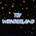 Toy Wonderland Store