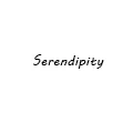 Serendipity stickers toy Store