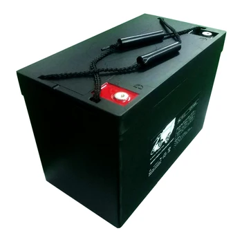 

12.8V 100Ah LiFePO4 Battery Pack EVE LF50 Cell 4S2P with Plastic Case and BMS 12V Lithium Battery for Golf Cart Yatch