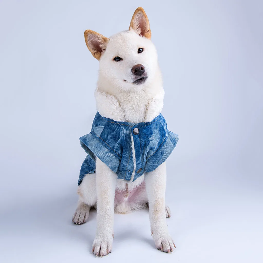 Французский бульдог Pet жилет-одежда для собак куртка свитер маленький щенок Одежда для собак одежда Померанский 9M3