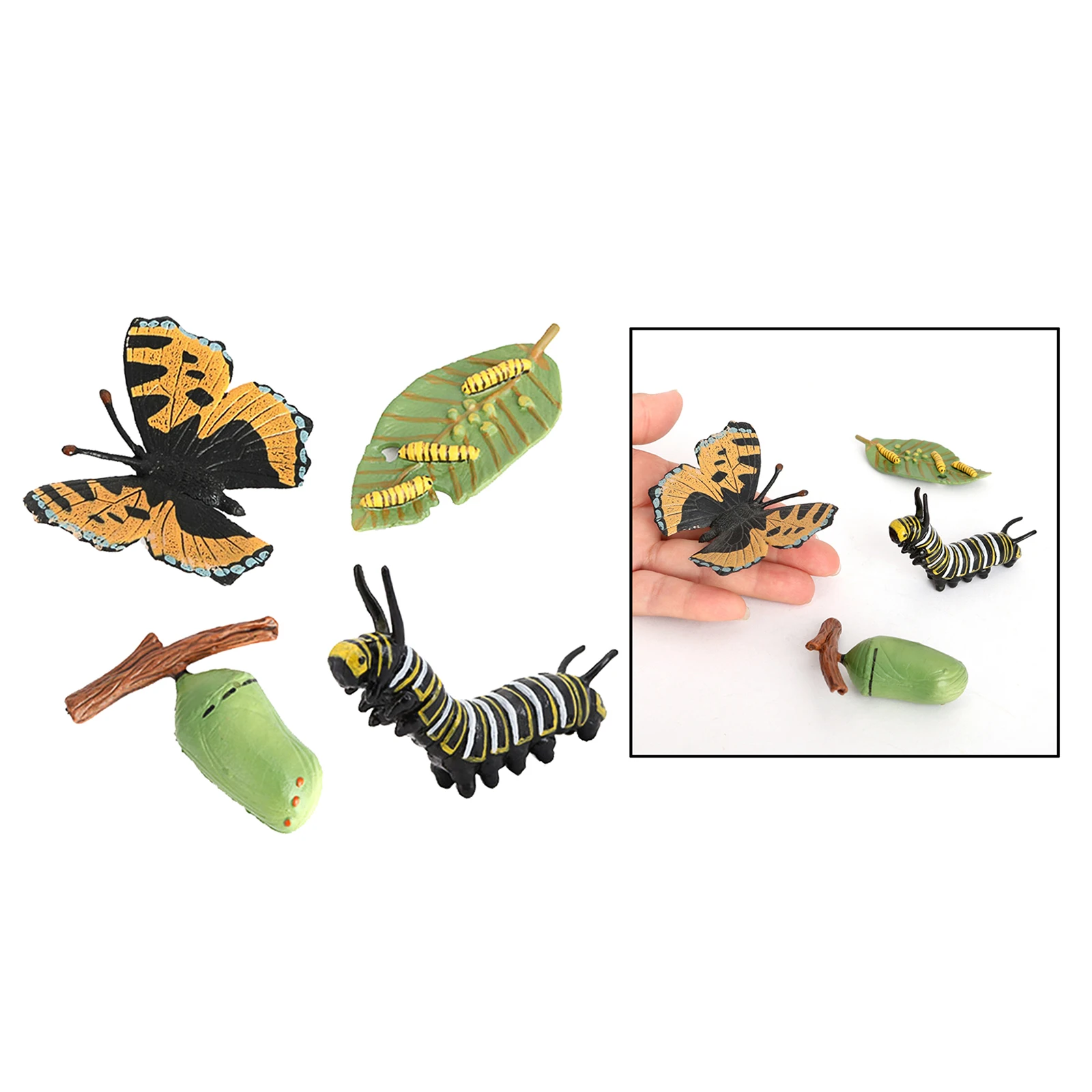 Insect Butterfly Lore Ladybug Life Cycle - 4 Pcs Insect Figure Shows Life Of Lady Bug