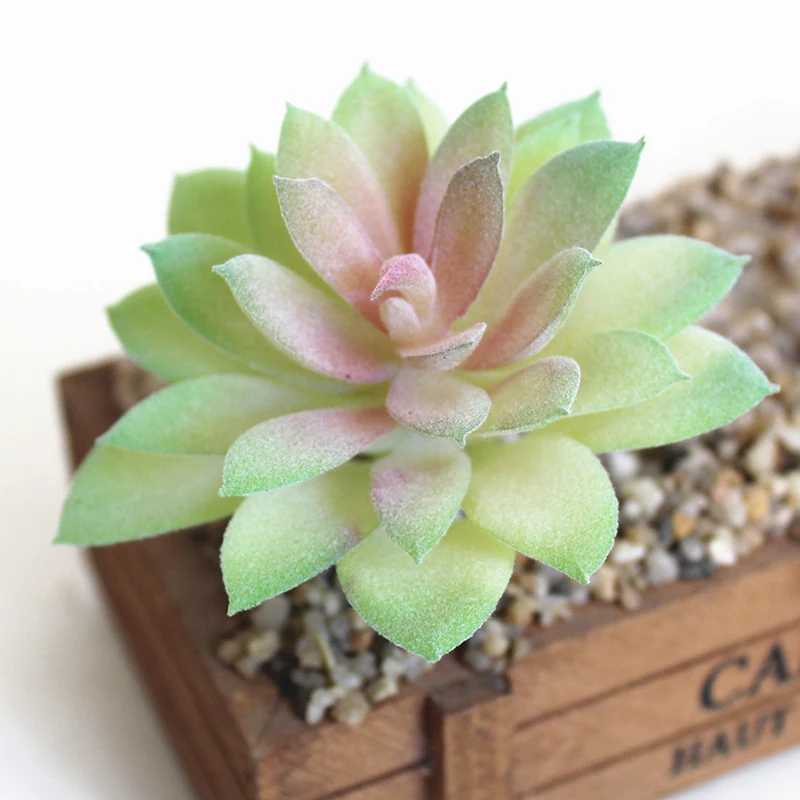 Тонкое мастерство 1x искусственный суккулент Цветок Цветочные растения для дома и сада пейзаж Декор