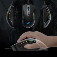 Computer Peripherals