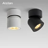 Aisilan Led  Surface Mounted Ceiling Downlight Adjustable 90 degrees Nordic Spot light  for indoor Foyer,Living Room AC 90-260V ► Photo 2/6