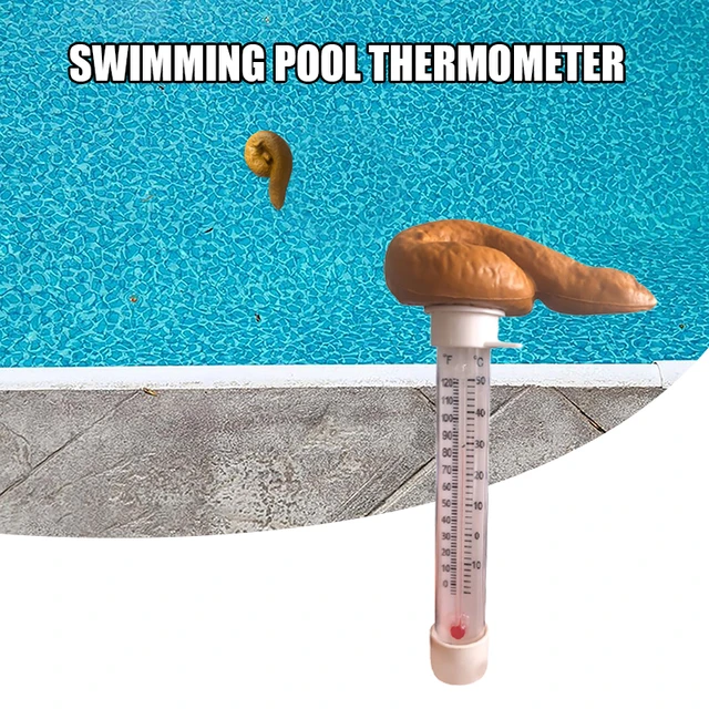 Thermomètre pour piscine flottante, température de l'eau en forme de merde,  pour extérieur et intérieur - AliExpress