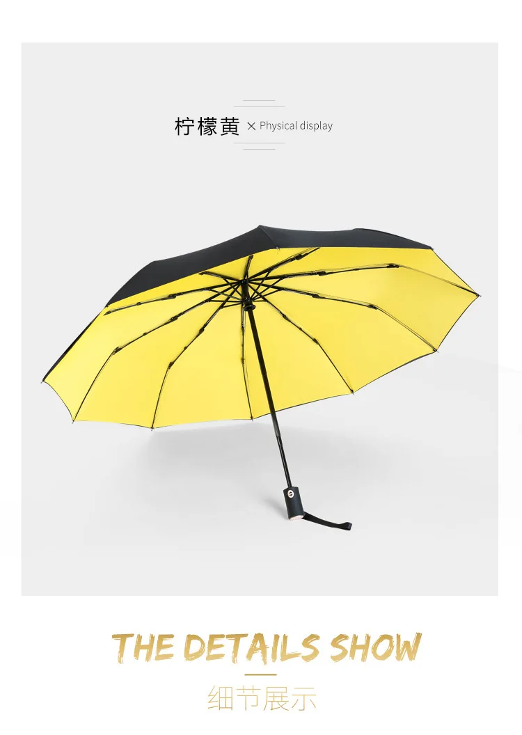 Double Layer 10 Bone Fully Automatic Folding Umbrella Wind-Resistant Men And Women Creative Business Double Rain Or Shine Dual P