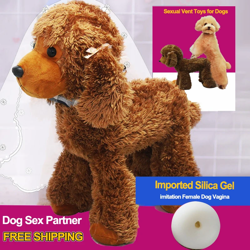Silicone Simulation Mating Dog Toys Male Pet Estrus Vent Dog Toys for Small  Dogs Bulldog Teddy Male Dogs Heat Toy Dog Accesories - AliExpress 15