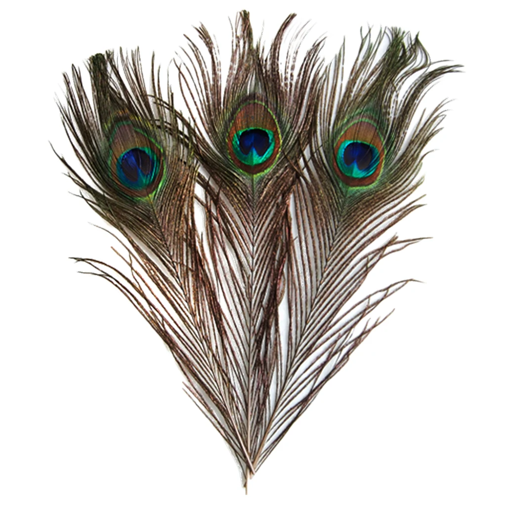 10x Peacock Eye Tail Feathers for Fascinator Wedding Craft Decor 9-13 Inch