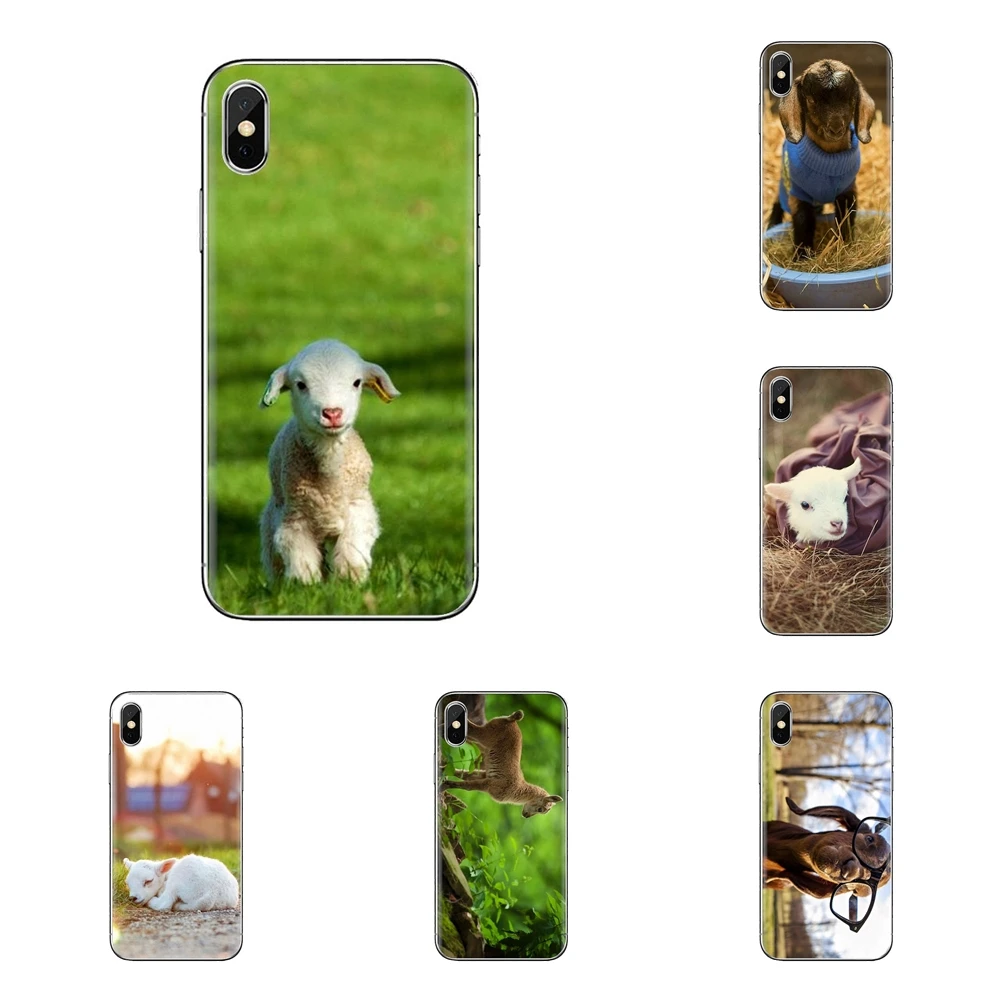 

TPU Shell Cases The Cutest Baby Pygmy Goat For iPhone XS Max XR X 4 4S 5 5S 5C SE 6 6S 7 8 Plus Samsung Galaxy J1 J3 J5 J7 A3 A5
