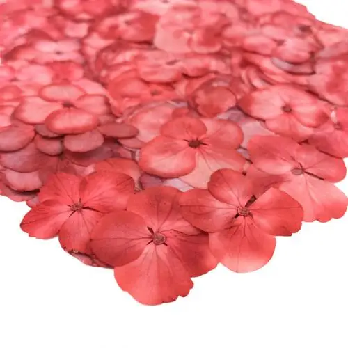 12Pcs Natural Pressed Decorative Dried Flowers Dried Flower Petals Artificial Flowers DIY Phone Case Party Wedding Decoration 