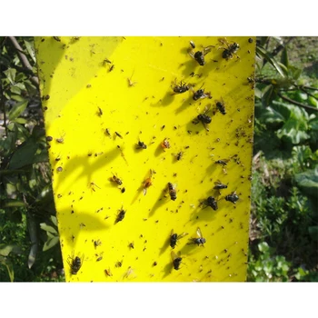 

20pcs Double-Sides Sticky Trap Flies Trap Insect Stick Board Pest Control Glue Sticker For Flying Plant Insect Gardening Tools