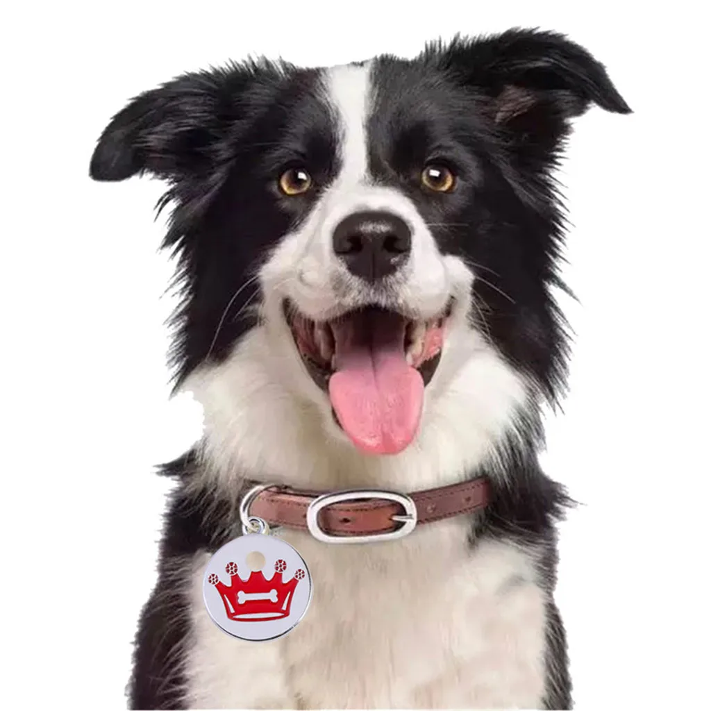 30^Cute Mini More Crown Print Diamond Dog Cat ID Name Tags Pet Jewelry Necklace family product for pet dog leash собачий поводок - Цвет: Red