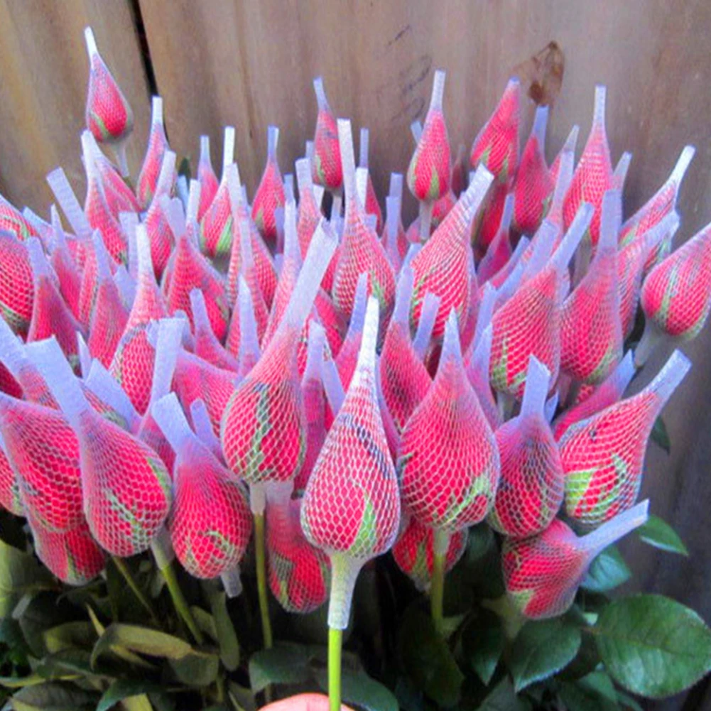 Dreamlover Filet De Protection Pour Pinceau De Maquillage, 50 Pièces