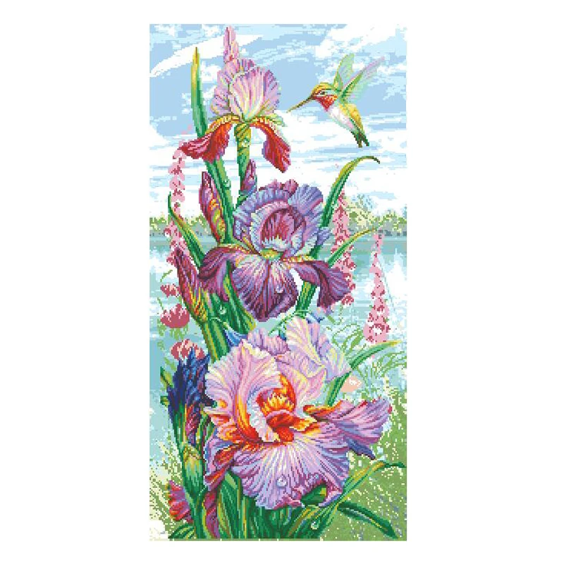 orchid iris and Hummingbird flower flowers Harmony of nature M70008